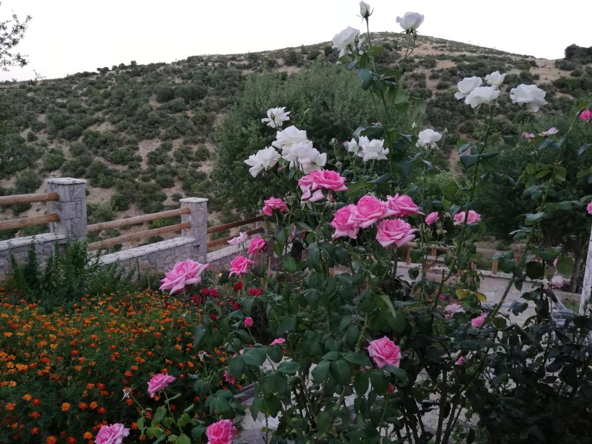 Villa Agno - Βίλα Αγνώ Ano Karies 외부 사진